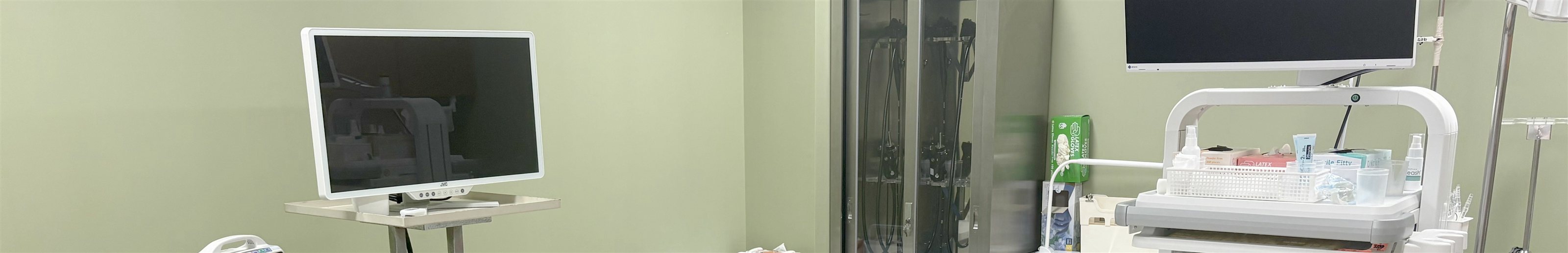 内視鏡のご案内